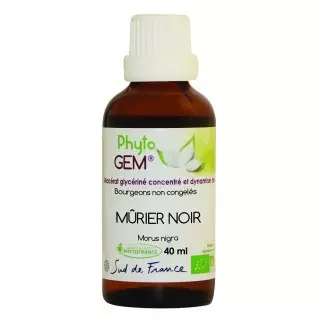 Phyto'gem Bourgeons de Mûrier noir Bio - 40ml