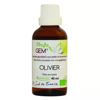 Phyto'gem Bourgeons d'Olivier Bio - 40ml