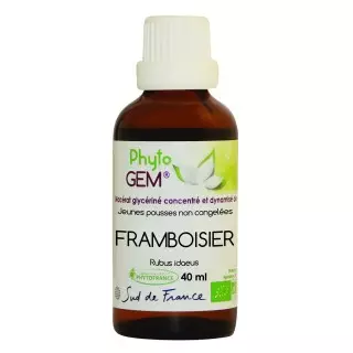 Phyto'gem Bourgeons de Framboisier Bio - 40ml