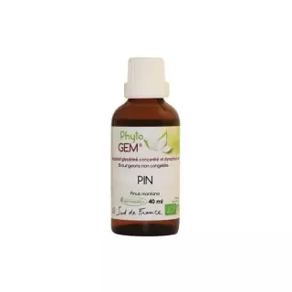 Phyto'gem Bourgeons de Pin des montagnes Bio - 40ml