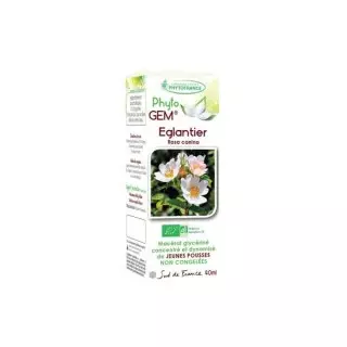 Phyto'gem Bourgeons d'Églantier Bio - 40ml