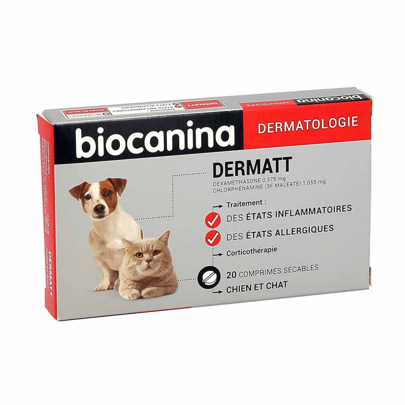 L'arthrose chez le chien - Biocanina