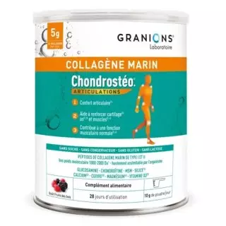 Collagène Marin Chondrostéo Articulations Granions - 280g