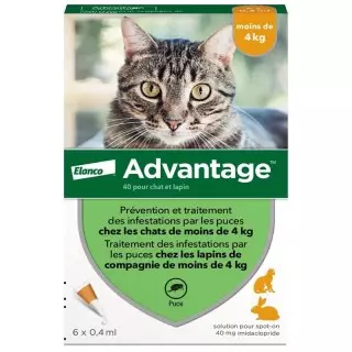 Solution antipuce chat & lapin de 1 à 4kg Advantage 40  - 6 x 0.4ml