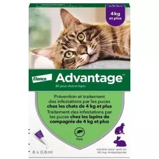 Solution antipuce chat & lapin de 4kg et + Advantage 80  - 6 x 0.8ml