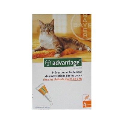 Advantage Cat 4kg 4 Pipettes Purepara